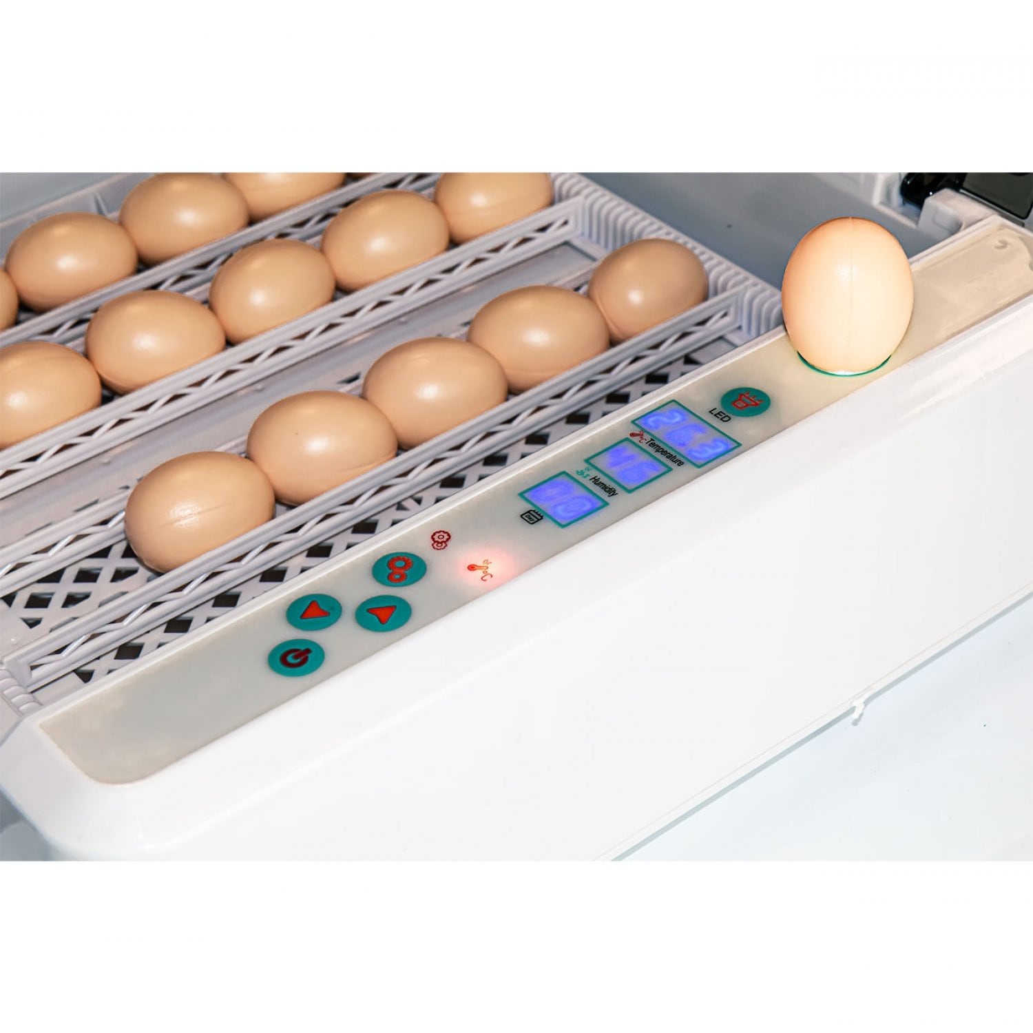 Инкубатор для яиц автоматический И-36_1