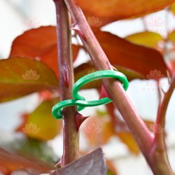 Двойное кольцо-фиксатор для растений, размер S - 50 штук